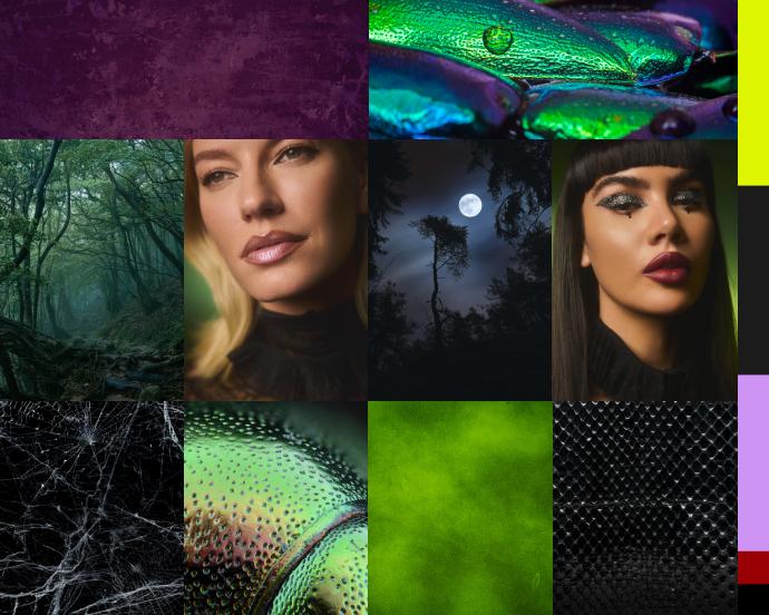 october-2025-ipsy-theme 01