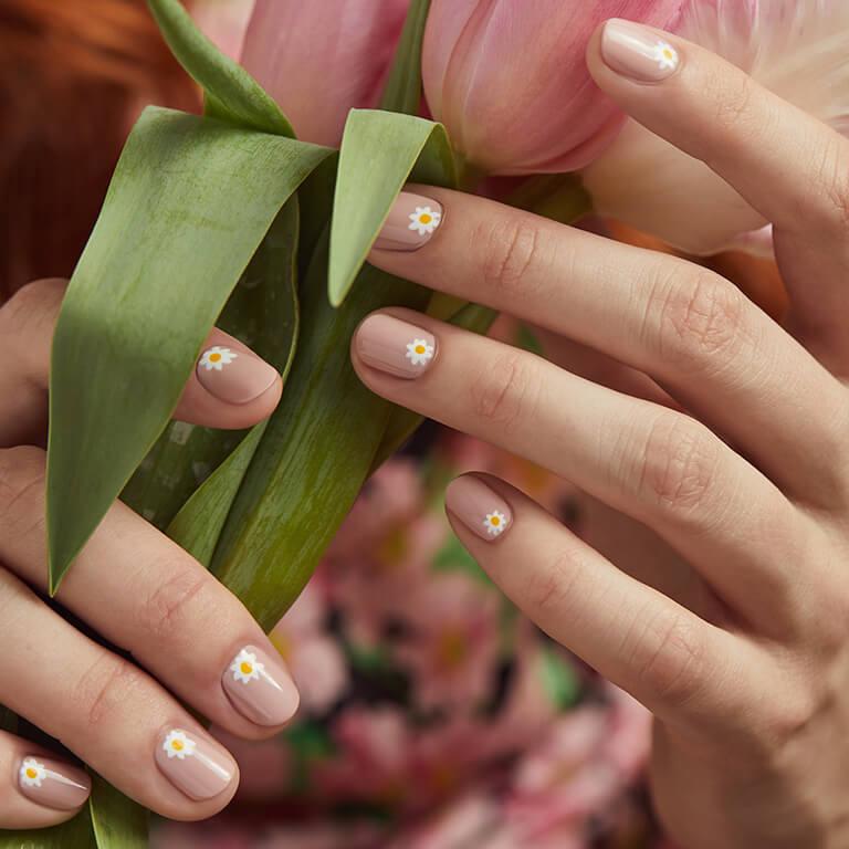 Close-up of a model's hands with white daisies nail art holding tulips Desktop