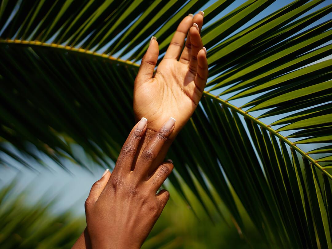 Woman's hands with manicure against palm leaf's background Desktop