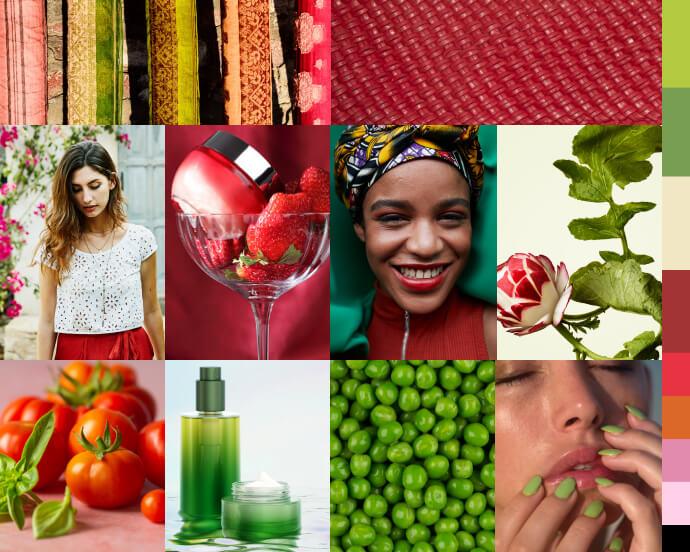 march-2025-ipsy-theme 01