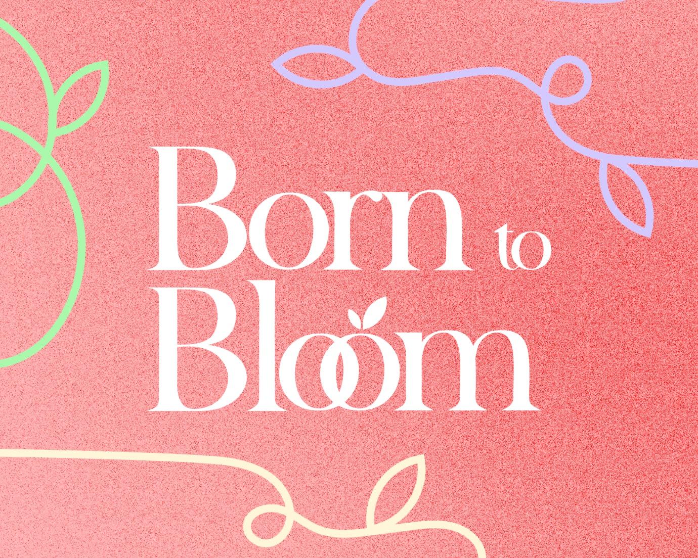 may-2025-ipsy-theme desktop