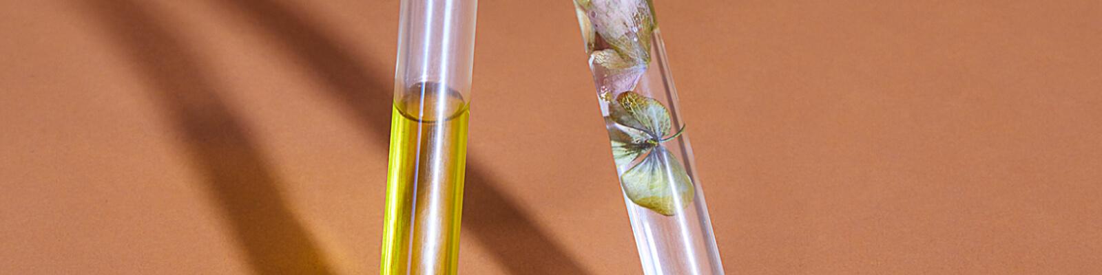 DIY_Beauty_Potions_Header_Banner_Mobile Desktop