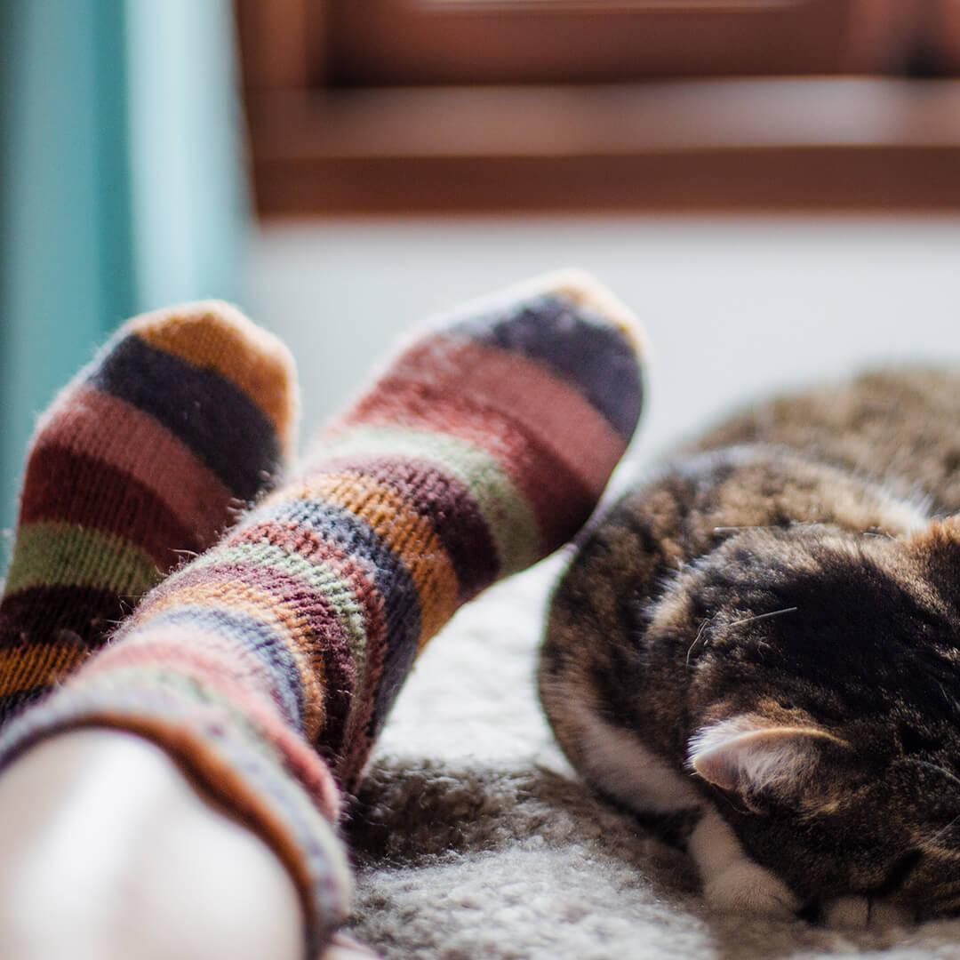 A photo of a model's legs wearing striped socks next to a sleeping tortoiseshell cat Mobile