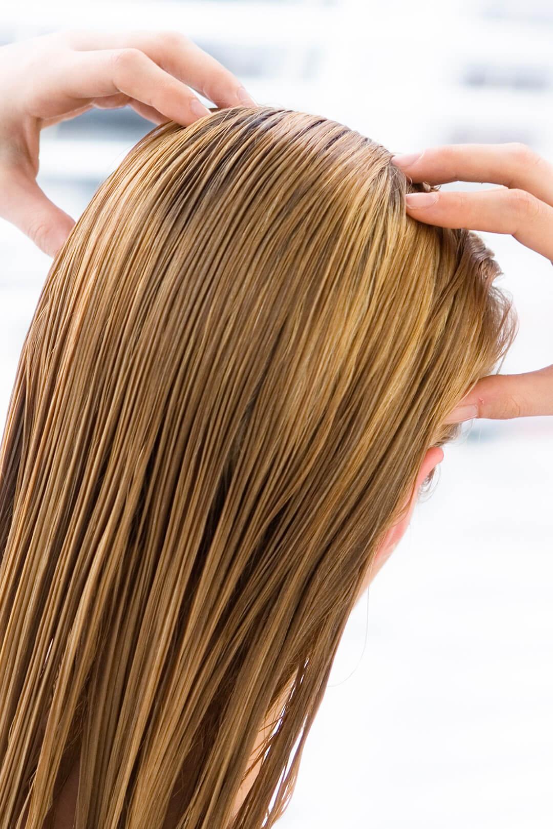 An image of a woman massaging her colored hair on a white background Desktop