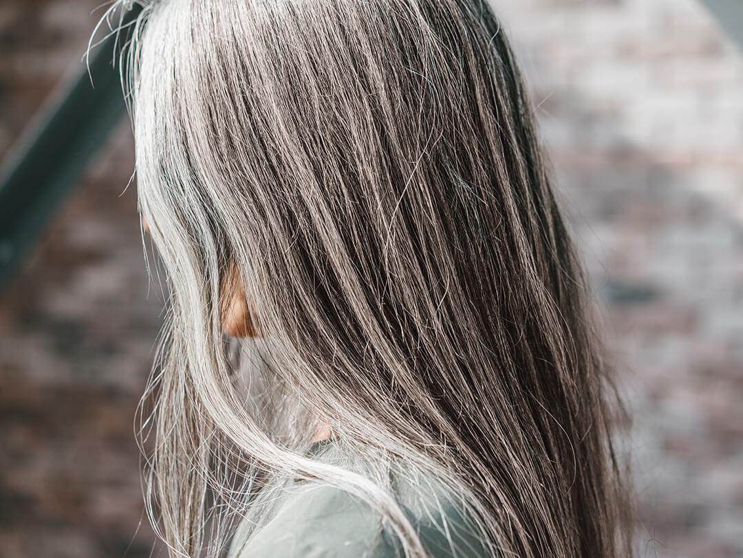 Woman with long grey hair Desktop