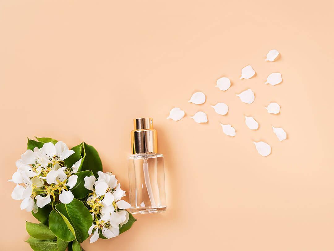 An image of a clear spray bottle placed next to a plant with white flowers, arranged flat on a peach-colored background Desktop