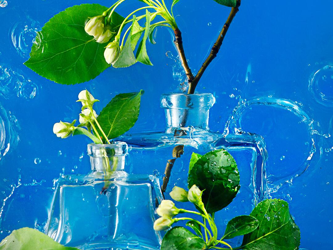 A photo of flower stems in a bottle on a blue background Desktop