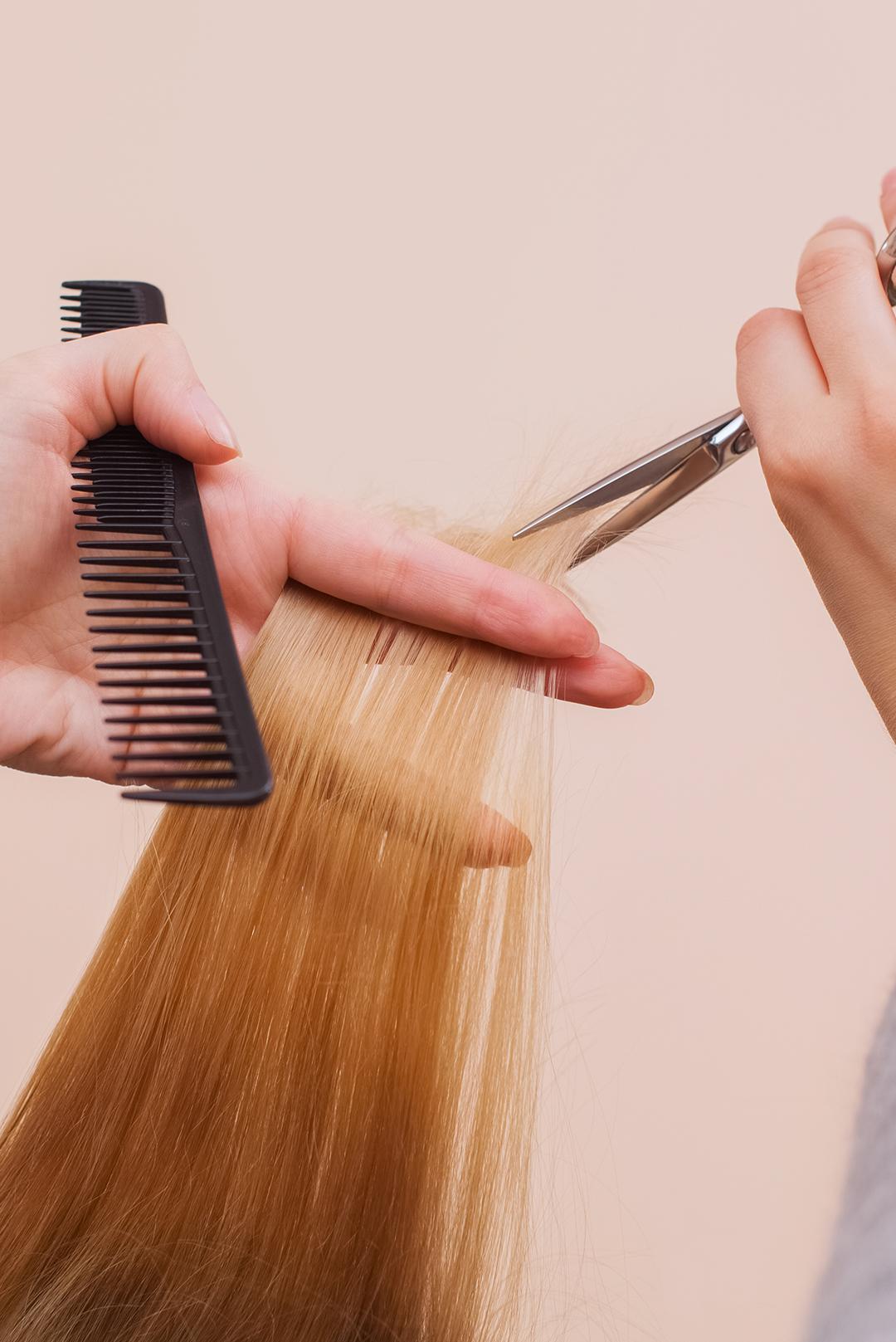 A closeup photo of blonde hair getting trimmed with scissors Desktop