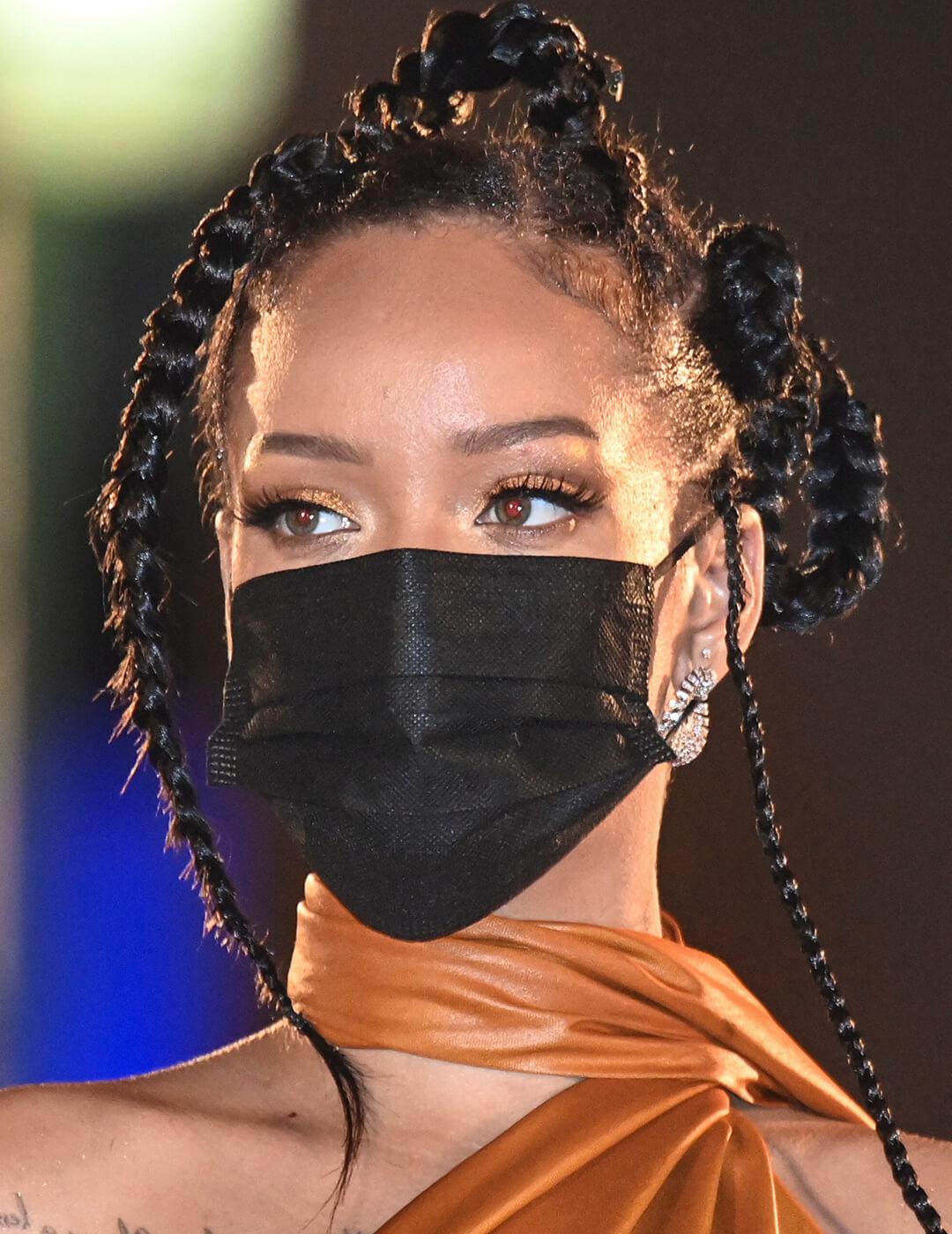 Rihanna rocking a braided hairstyle Desktop