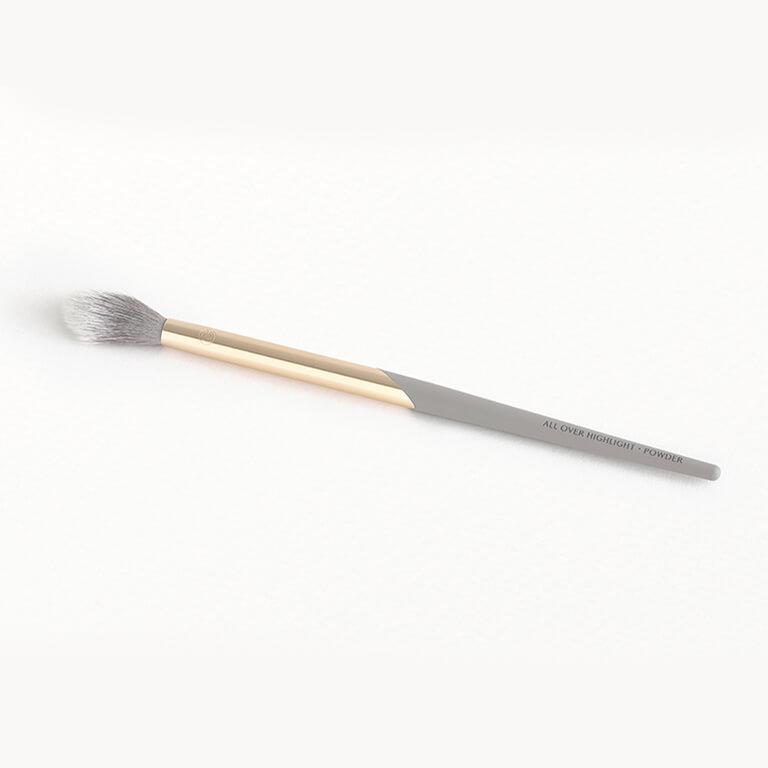 COMPLEX CULTURE All Over Highlight • Powder Brush Desktop