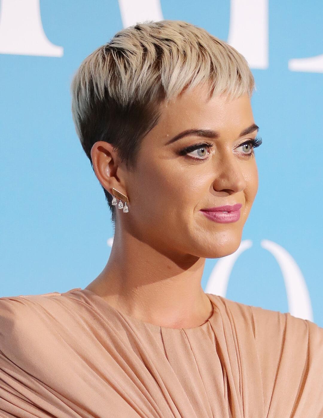 Katy Perry rocking a nude dress and pixie cut hairstyle Desktop
